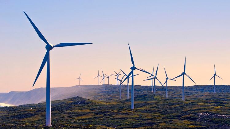Climate-Neutral-decreasing-beauty-industry-carbon-emissions.jpg