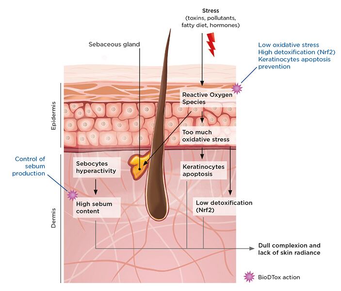 BioDTox-Mechanism-of-action.jpg
