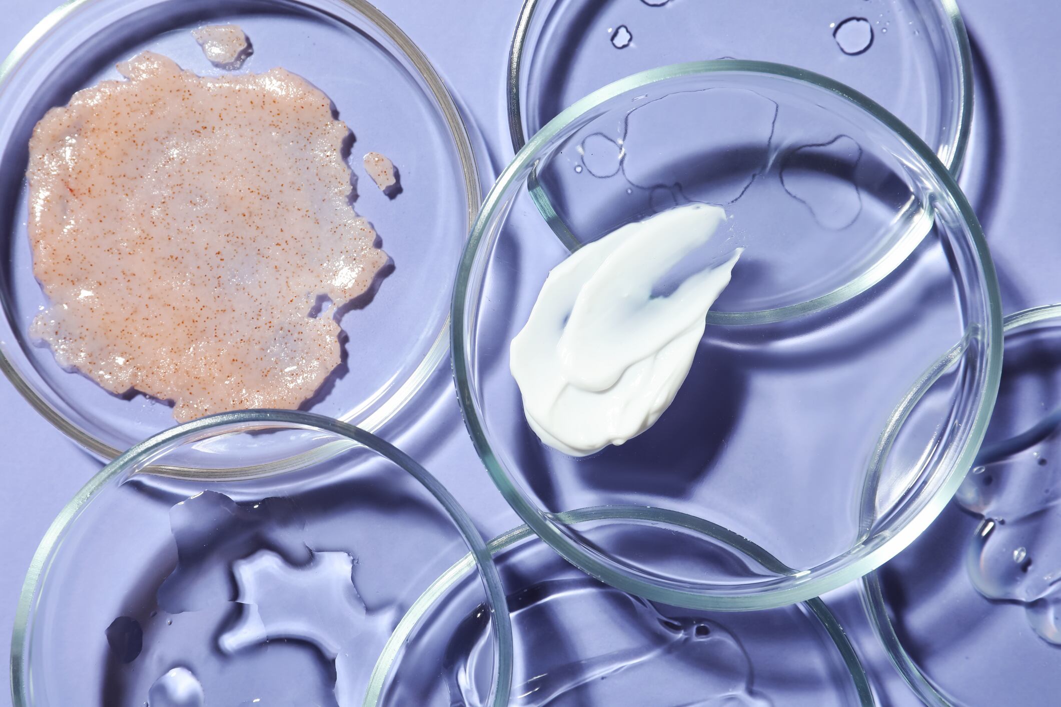 Bridging science and beauty: A conversation with NYSCC’s 2025 Chair John Carola