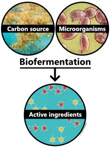 1-biofermentation.png
