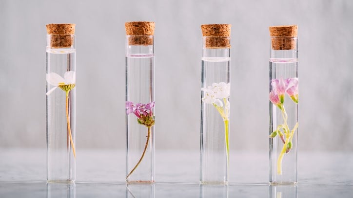 The top three ingredients innovations at in-cosmetics Global 2024 as chosen by our global editors
