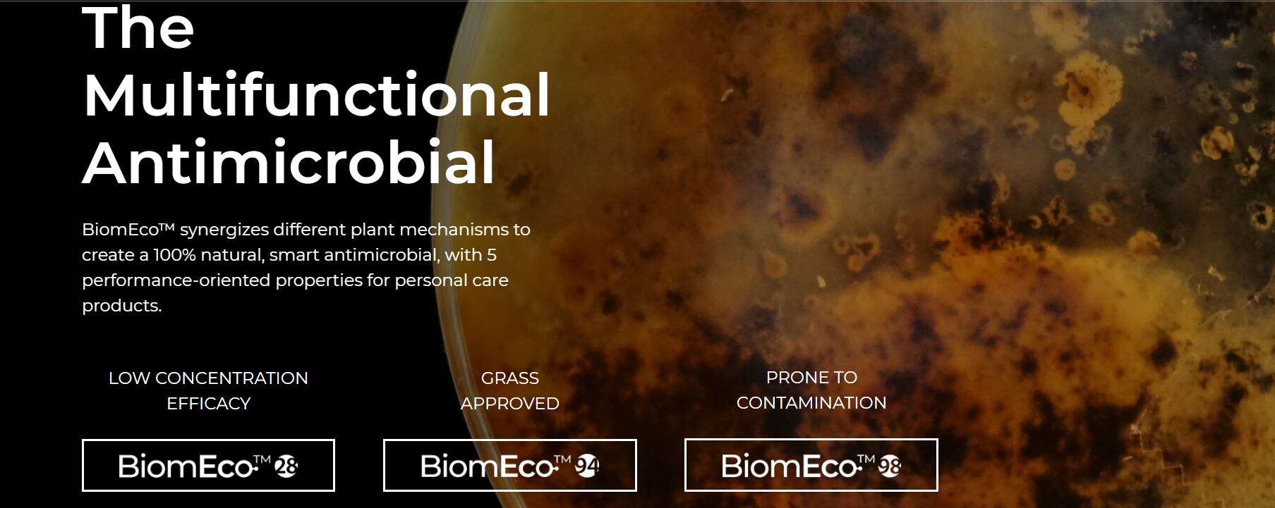 Israeli company introduces microbiome friendly preservative, claims is as effective as synthetics