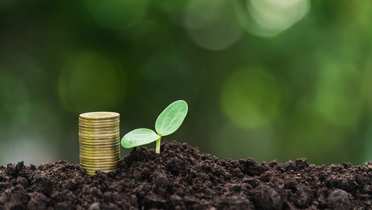 Cargill to boost natural beauty biz with Floratech acquisition