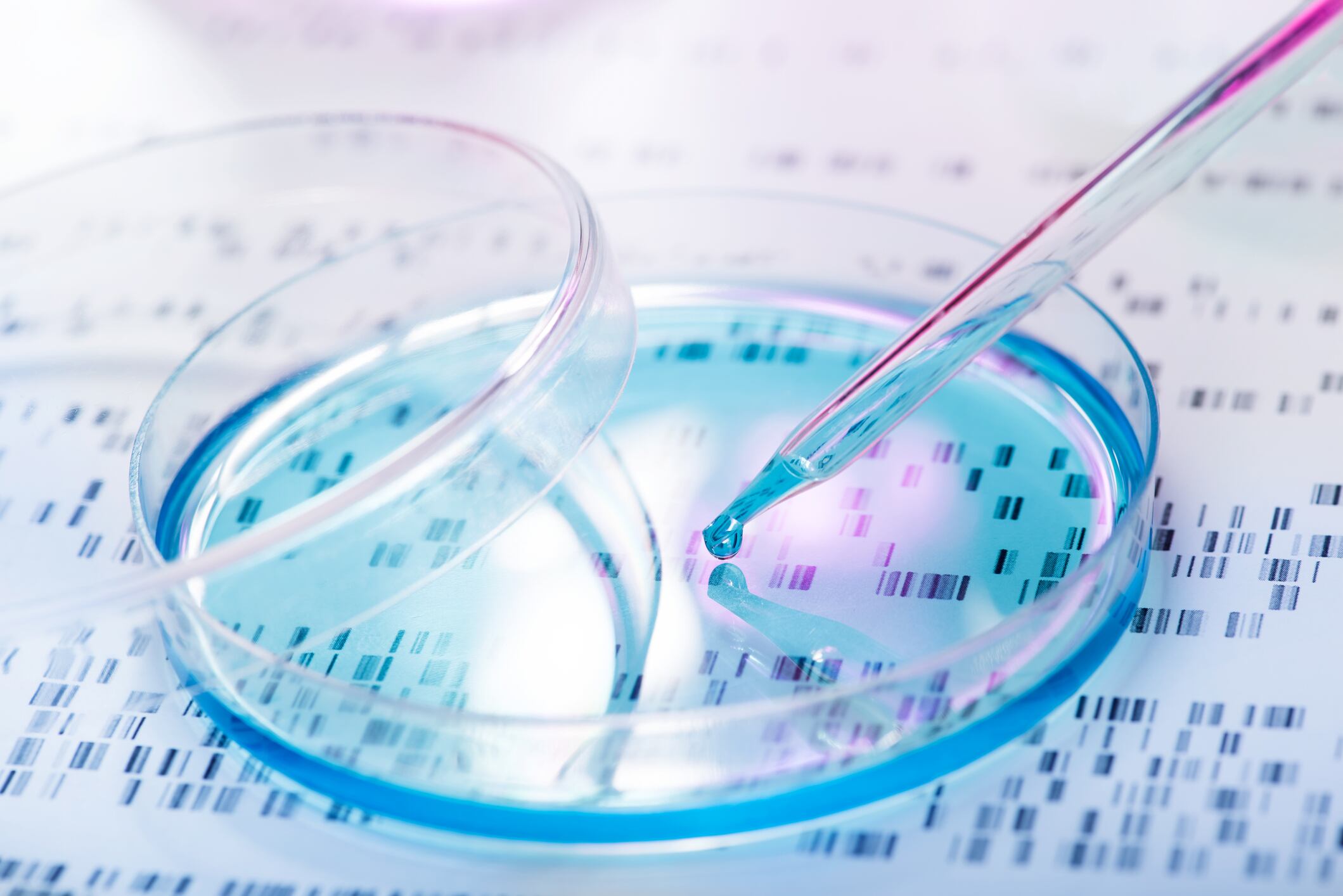 Brazil’s first beauty biotech business aims to be an international player