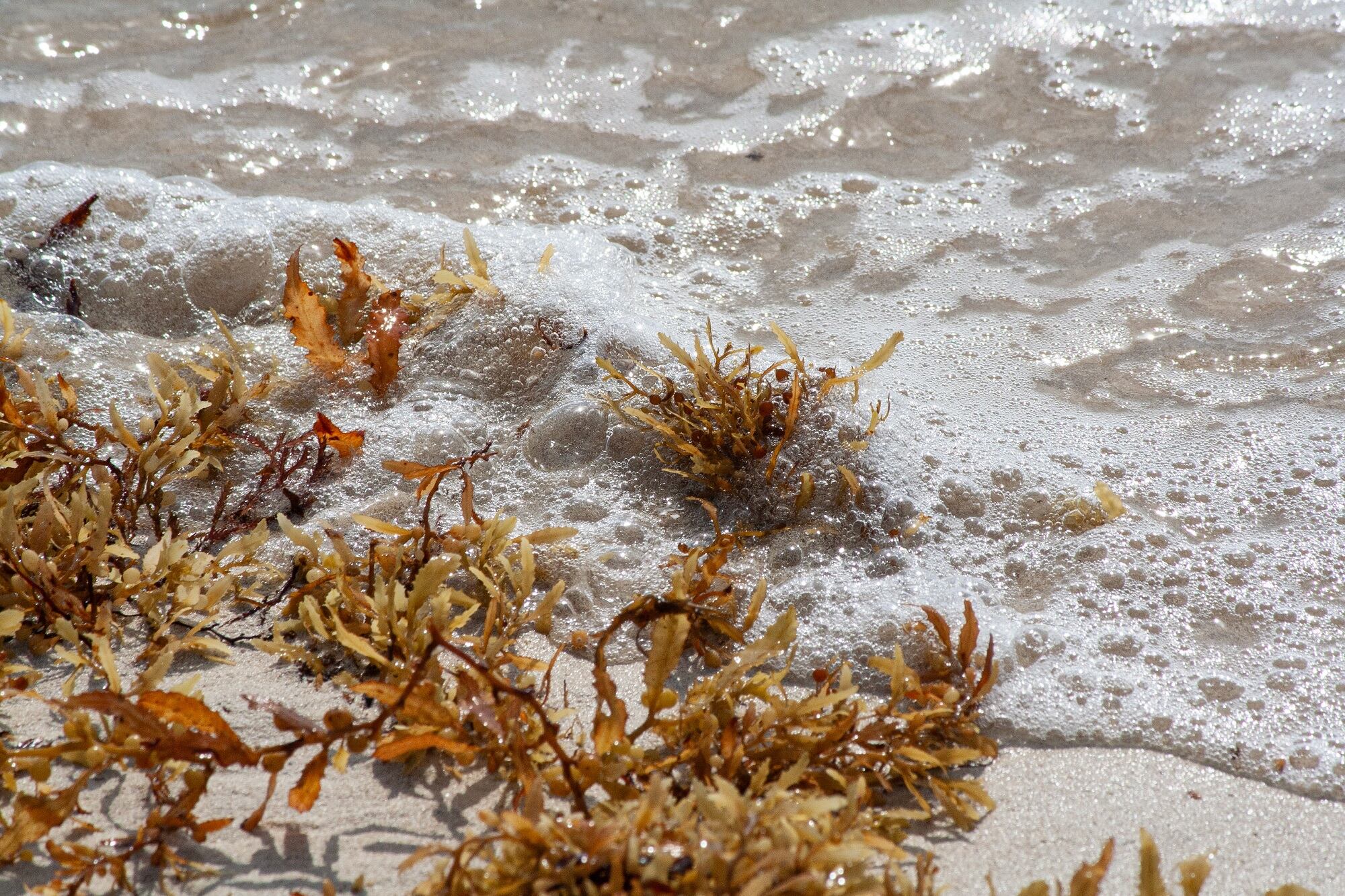 Study shows Carbonwave’s SeaBalance emulsifier provides ‘statistically significant’ moisturization benefits