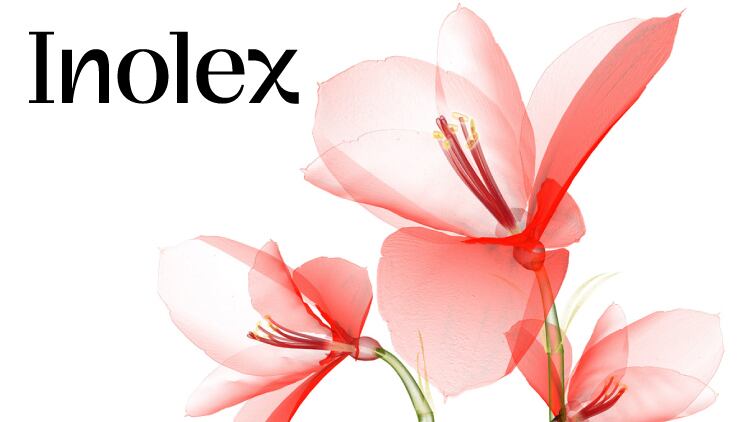 Inolex