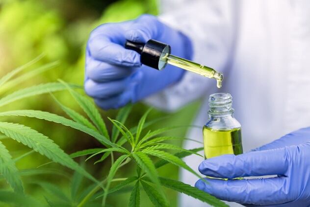 Fragrance house IFF is developing CBD products for the US market