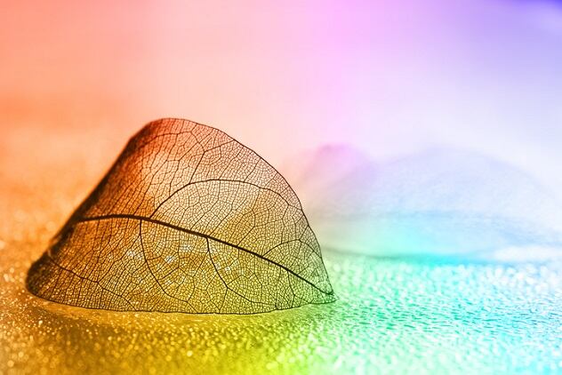 Ginkgo Bioworks showcases the fragrance of extinct flowers