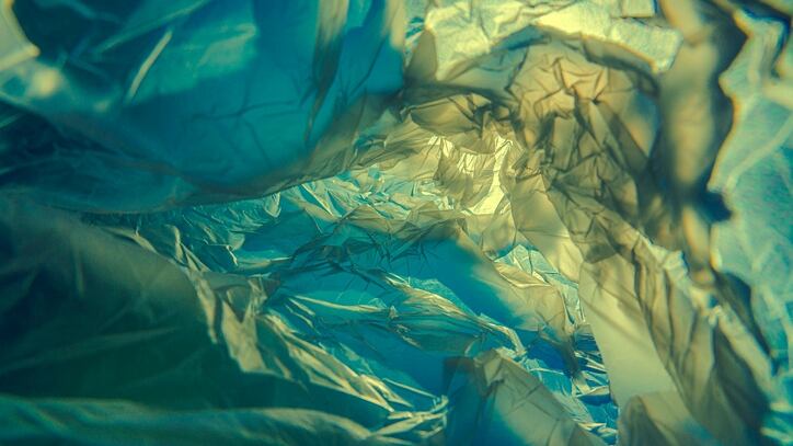 WWP-Beauty-on-bringing-sustainable-cosmetics-packaging.jpg
