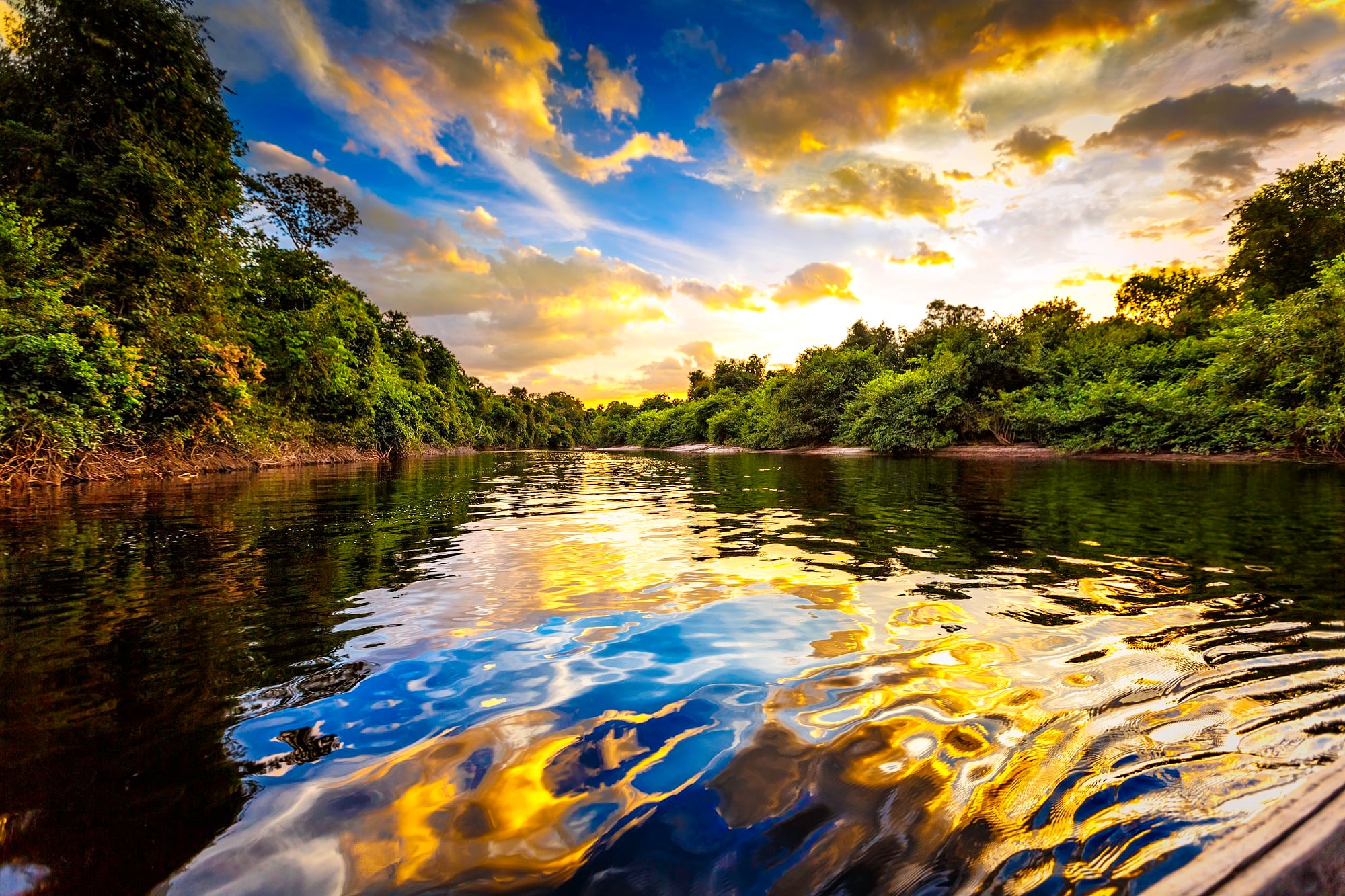 Combating biodiversity loss through ethical ingredient sourcing