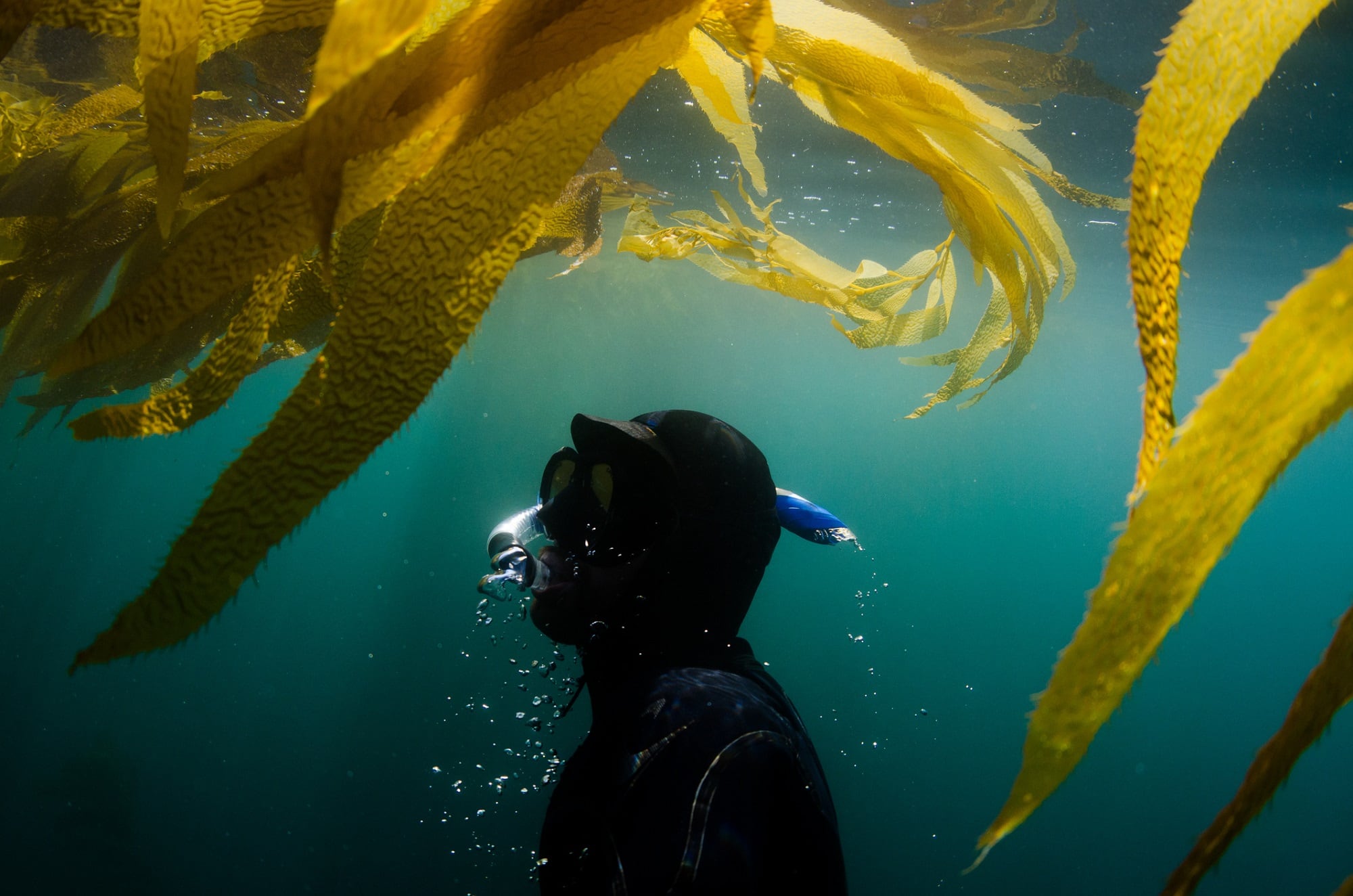 Big Kelp Hydration: Infusing sustainability and transparency into skin care  