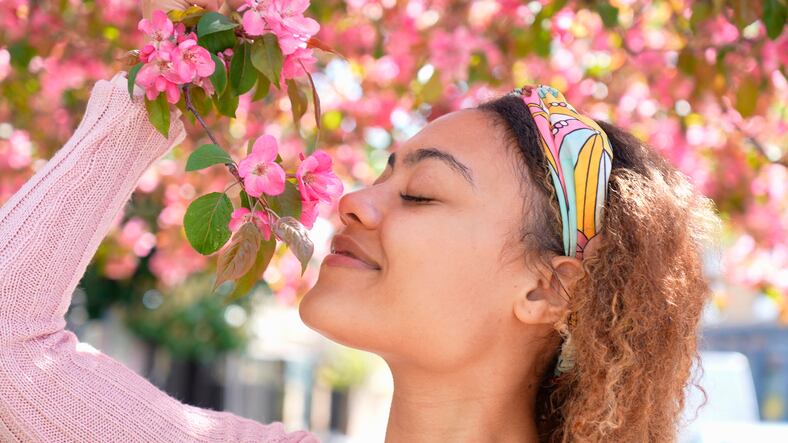 University of Lisbon mapping brain responses to fragrance: 'Sense of smell is the most mysterious'