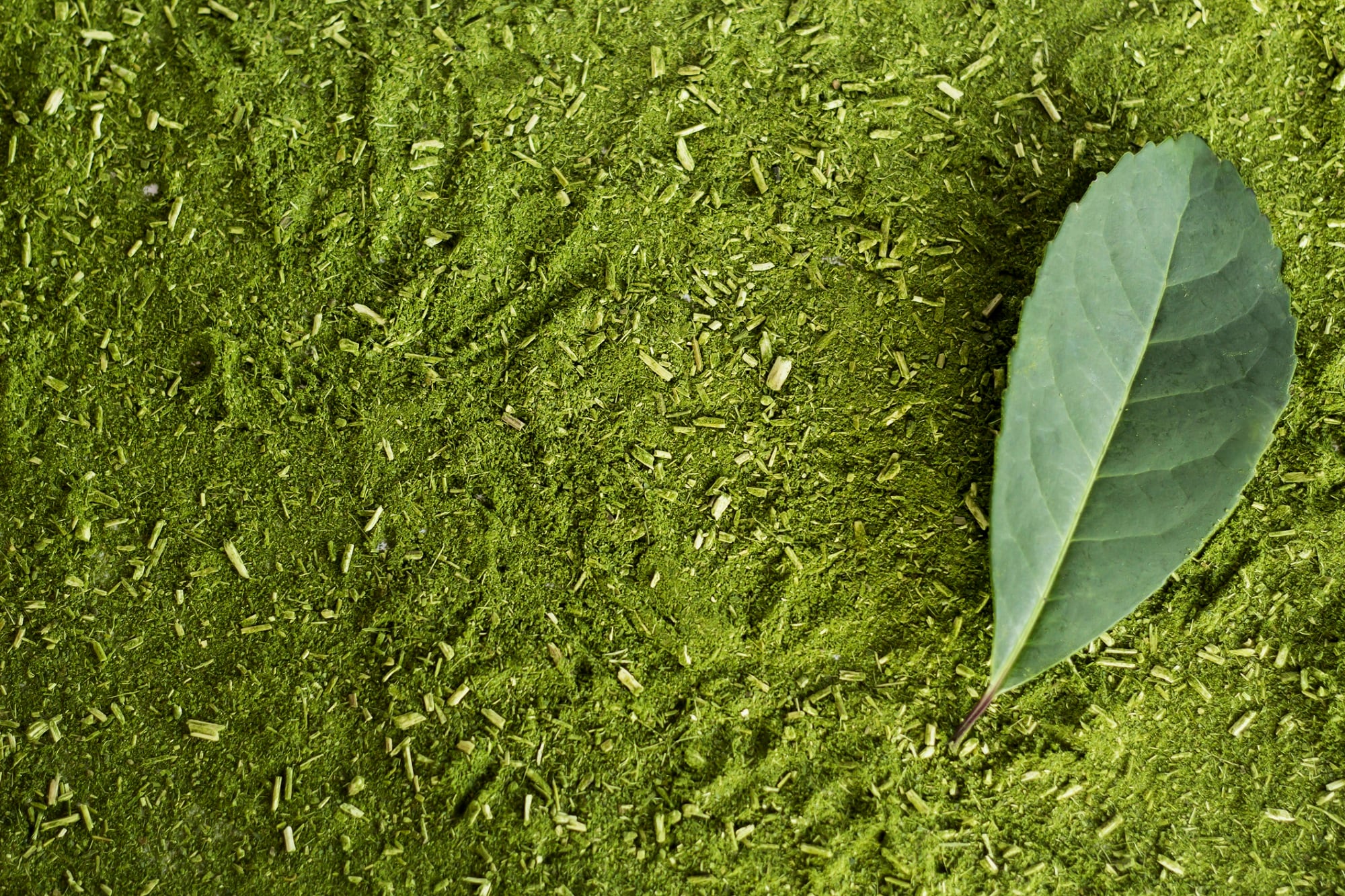 Innovations in sustainability: Robertet’s upcycling program