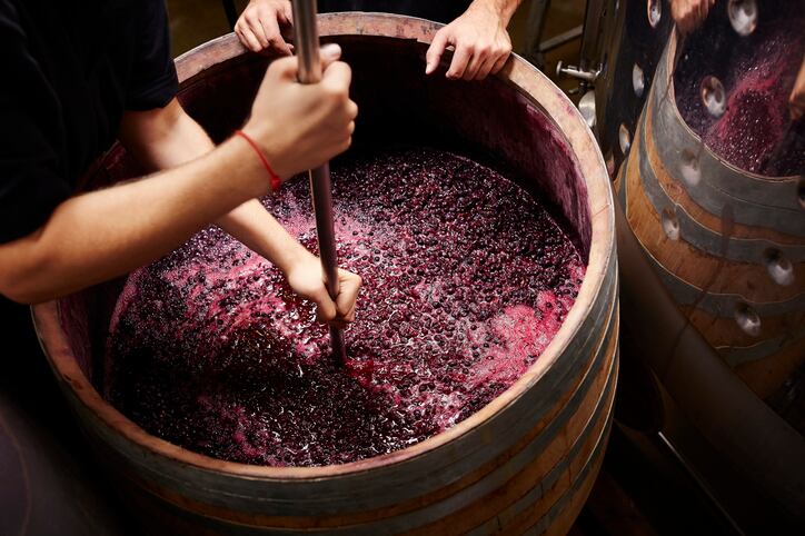 Lushin’ your line: Six possible applications for wine-waste ingredients - Study