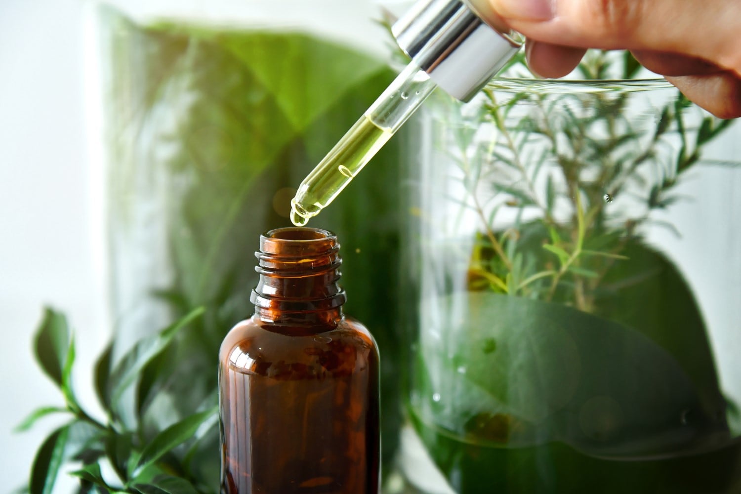 L'Oréal x Debut biotech partnership to “replace conventionally sourced ingredients”