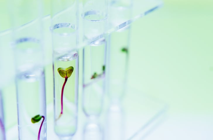 Beauty is entering ‘exciting era’ in biotech, says Givaudan Active Beauty
