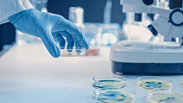 New-data-on-postbiotic-LactoSporin-shows-anti-acne-and-anti-aging-benefits.jpg