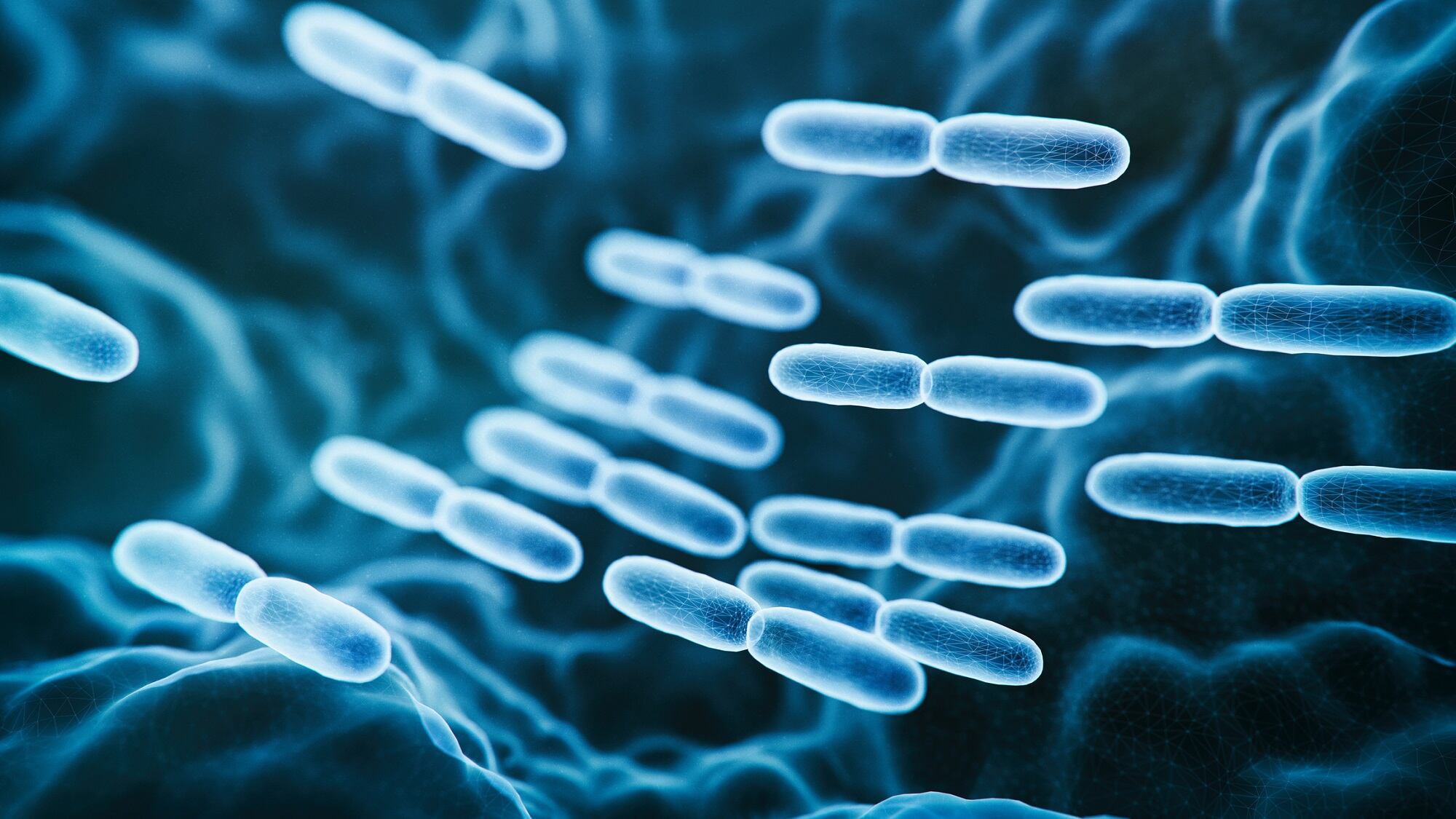 Q&A: Expert talks postbiotic innovation in Probiotical’s Skinbac tech