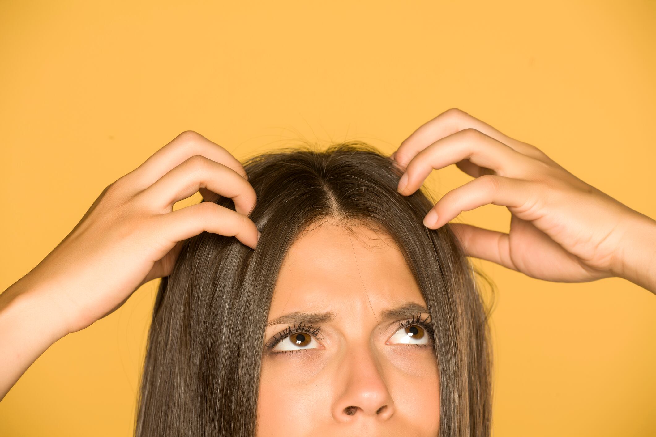 Desert Botanicals releases new propylene glycol-free hair care line