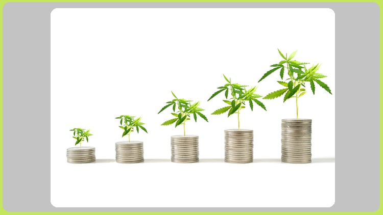 Liht Cannabis Corp relaunching personal care this month