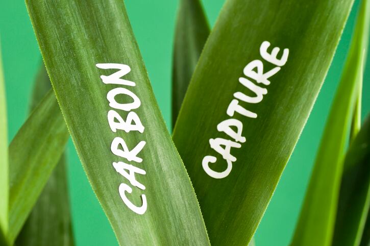 Carbon_Capture_sustainability_eco.jpg
