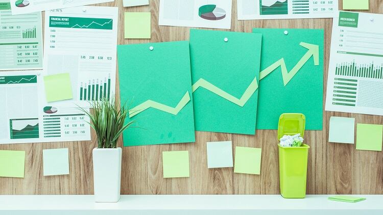 The Detox Market acquires green beauty ecommerce platform