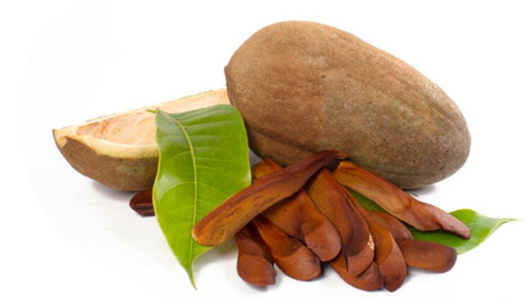 From furniture to face: Mahogany seeds have skin whitening, antioxidant properties for skincare – Review