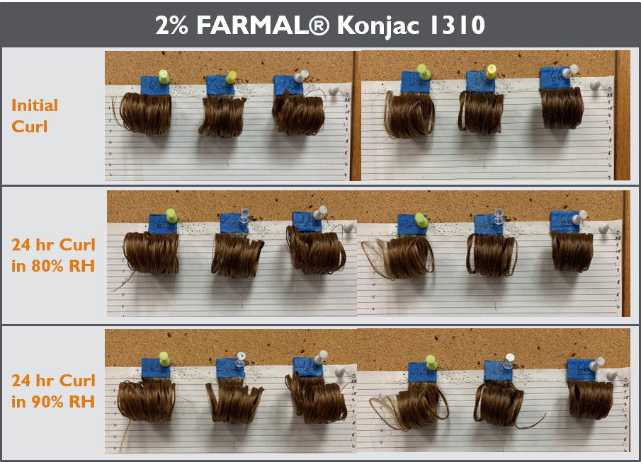 Konjac-Hair-Test-2.png