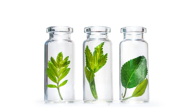 Natural preservation concepts with L(+)-Lactic Acid