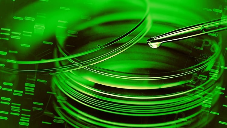 greener-cosmetics-personal-care-ingredients-science-biology.jpg