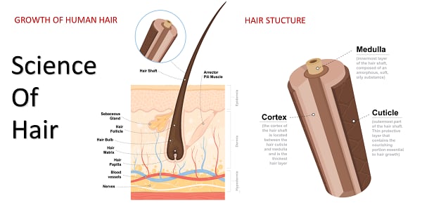 Multimedia-Image-2.png