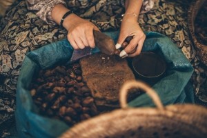 Argan oil is another widely used beauty ingredient that could benefit from FairWild certification, King says (Getty Images)