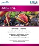 A Carnivorous Plant to Reshape the Body:  Adipo-Trap