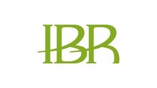 IBR Ltd