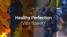 Grape cells for a uniform and radiant complexion : Healthy Perfection (Vitis flower)²