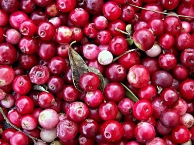 Mazza Innovation signs deal to deliver bioactive cranberry extracts for clean-label beauty products