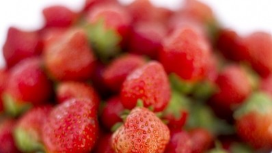 Strawberries in cream – specialty oils developed for cosmetics