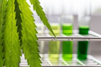Biotech-derived cannabinoid molecules from Amyris are on their way into beauty 