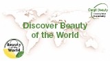 Discover Beauty of the World