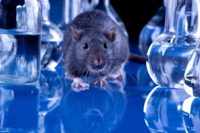 California sets a precedent in the US with animal testing ban