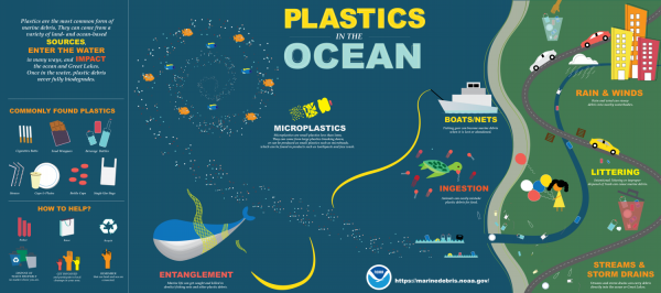 On a cartoon-style background moving from the ocean on to land, this infographic describes how plastics get into the ocean, what kinds of plastics are most commonly found there, the effects plastic in the ocean has on the world and what people can do to improve the problem. Full text for the infographic is available on the NOAA website.