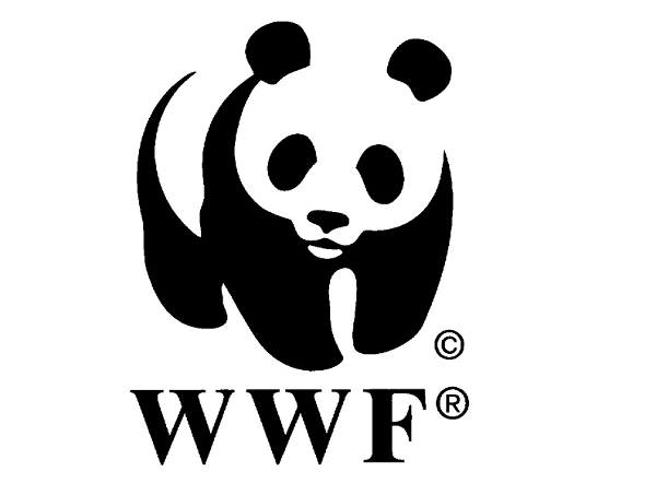 WWF embraces RSPO International Standards on palm oil in Peru