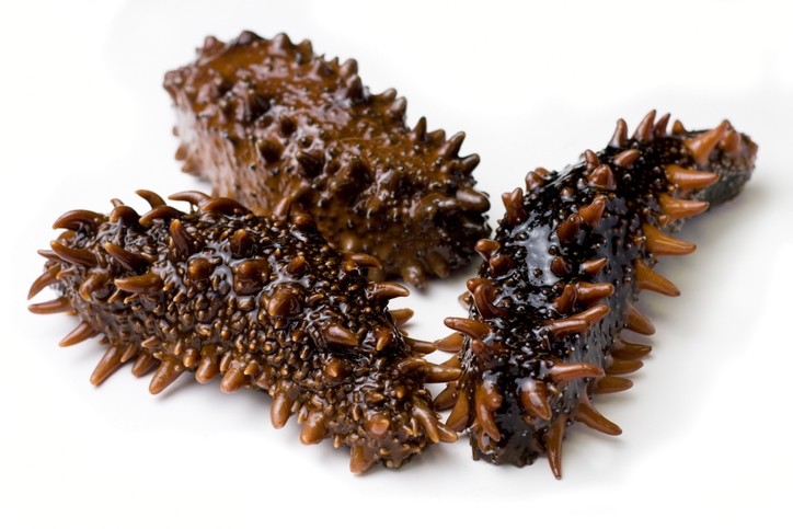 Using sea cucumber-sourced collagen could, importantly, drive up the commercial value and prevent by-product waste of this marine animal, researchers say (Getty Images)