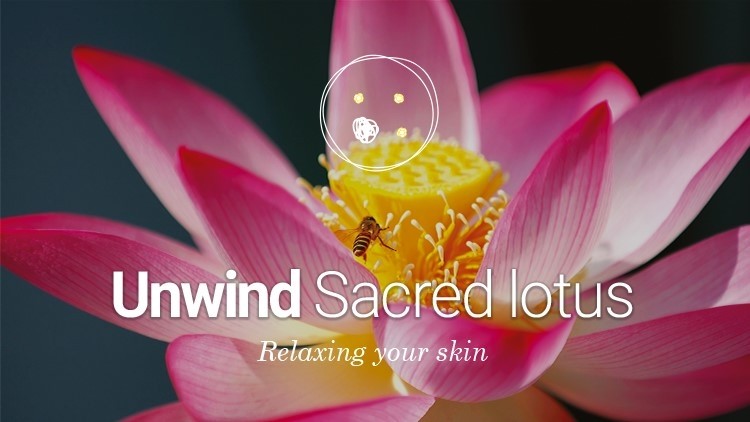 Sacred lotus cells to relax skin