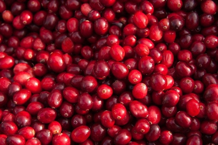“There’s nothing quite comparable to the cranberry seed oil in the market currently due to the unique linoleic profile of the oil,” said Annie Bouchard, Senior Brand Manager in Corporate Marketing at Fruit D’Or. © nycshooter Getty Images