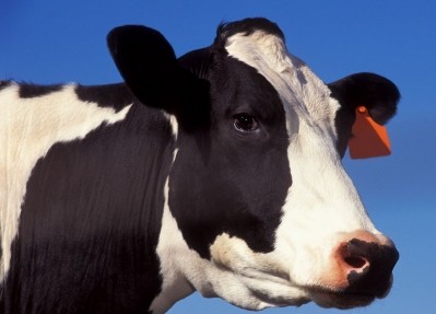 Have you herd the moos? FDA re-opens comment on cow intestines in cosmetics