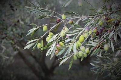 Can an olive oil waste product reduce the cost of biosurfactant production?