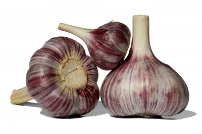 Odor-free garlic based hair re-growth treatment launched