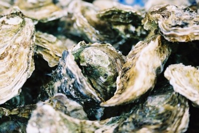 New research points to impact of microplastics on oyster farming