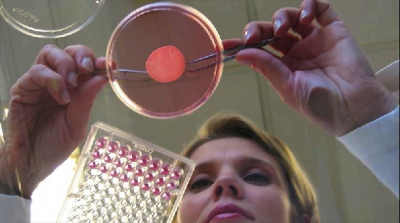 L’Oréal corners the market on bioprinted skin